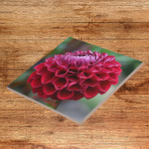 Red Dahlia Bloom Floral Ceramic Tegel