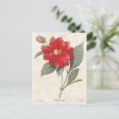 Red Dahlia  Botanische illustratie Briefkaart (Staand voorkant)