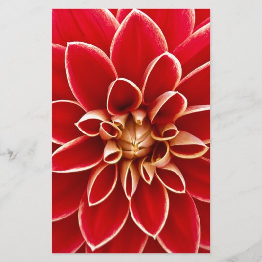 Red Dahlia Briefpapier (Voorkant)