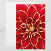 Red Dahlia Briefpapier (Voorkant / Achterkant)