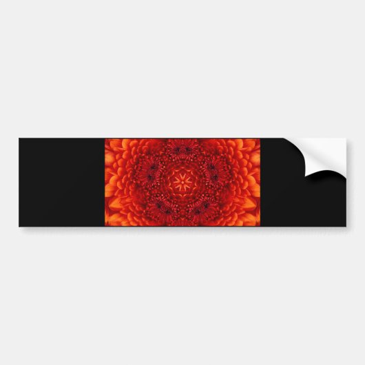 RED DAHLIA BUMPERSTICKER (Voorkant)