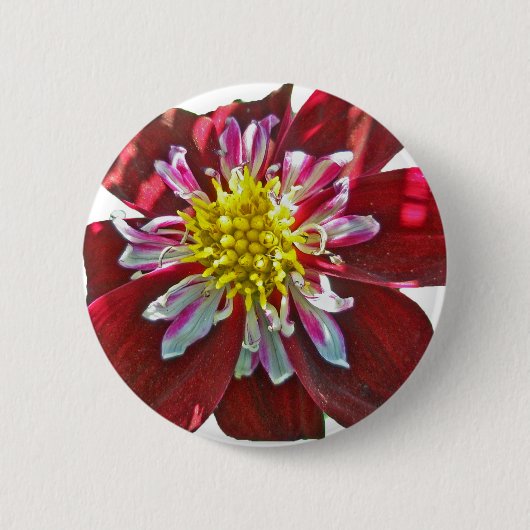 Red Dahlia Button (Voorkant)