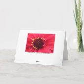 Red Dahlia Close-up Kaart (Achterkant)