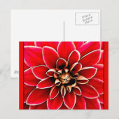 Red Dahlia, digitale kunst Briefkaart (Voorkant / Achterkant)