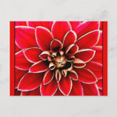 Red Dahlia, digitale kunst Briefkaart (Voorkant)