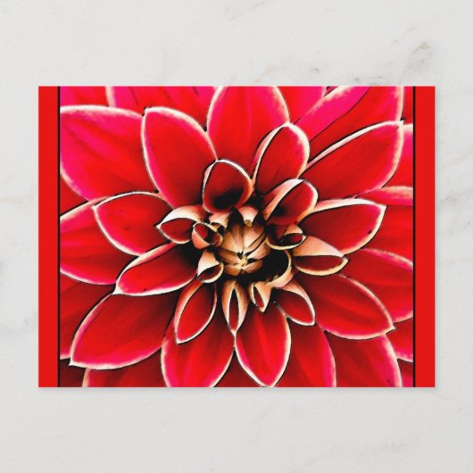 Red Dahlia, digitale kunst Briefkaart (Voorkant)