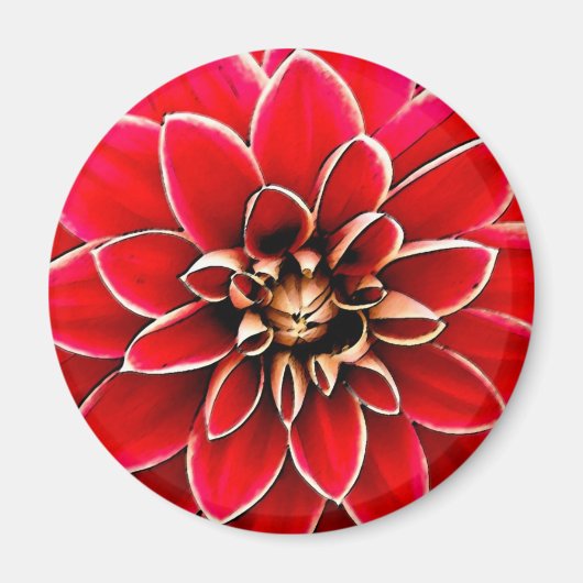 Red Dahlia, digitale kunst Magneet (Voorkant)