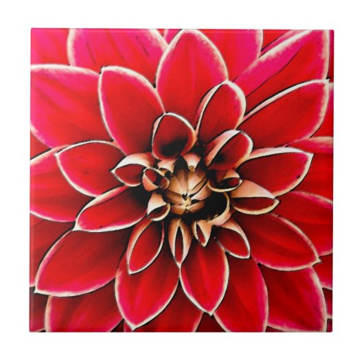 Red Dahlia, digitale kunst Tegeltje (Voorkant)
