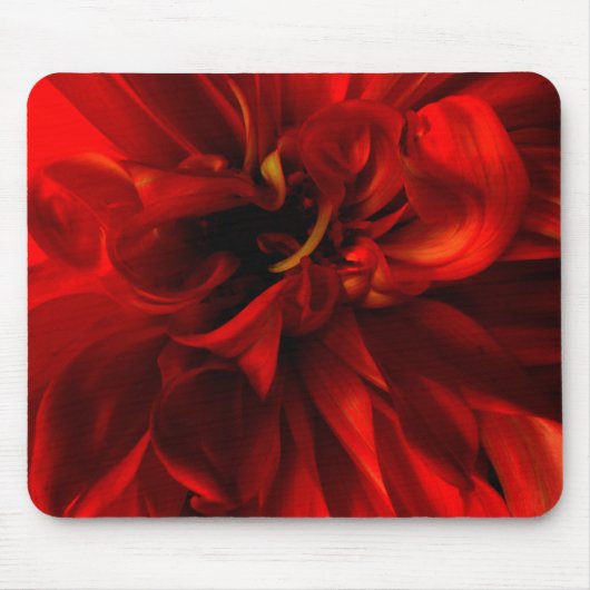 Red Dahlia Extreme Closeup Mouse Pad Muismat (Voorkant)