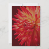 Red Dahlia Floral Elegant Party Kaart (Achterkant)