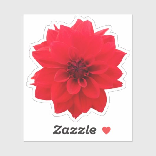 Red Dahlia Floral Sticker (Vel)