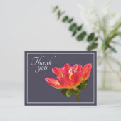Red Dahlia Flower Grey Background Bedankt Briefkaart (Staand voorkant)