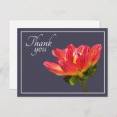 Red Dahlia Flower Grey Background Bedankt Briefkaart (Voorkant / Achterkant)
