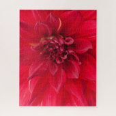 Red Dahlia Flower Legpuzzel (Verticaal)