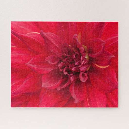 Red Dahlia Flower Legpuzzel (Horizontaal)