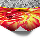 Red Dahlia Flower Lijst Creëer Uw eigen foto Poster (Hoek)