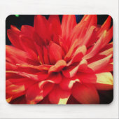 Red Dahlia Flower Muismat (Voorkant)