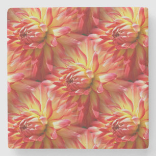 Red Dahlia Flower Natuur Art Patroon Stenen Onderzetter
