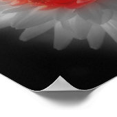 Red Dahlia Flower Partial Color Poster (Hoek)