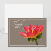 Red Dahlia Flower Taupe Background Bedankt Briefkaart (Voorkant / Achterkant)