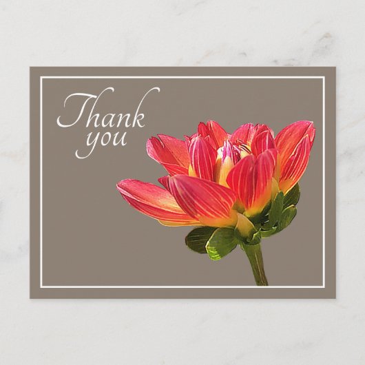 Red Dahlia Flower Taupe Background Bedankt Briefkaart (Voorkant)
