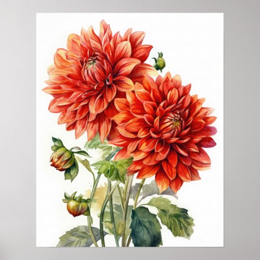 Red Dahlia Flowers Art Print Poster (Voorkant)