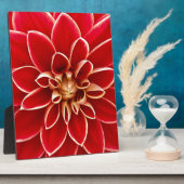 Red Dahlia Fotoplaat (Zijkant)