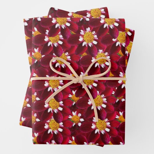 Red Dahlia Inpakpapier Vel (In situ)