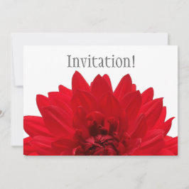 Red Dahlia Kaart