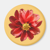 Red Dahlia Magnet (Voorkant)