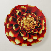 Red Dahlia met blauwe dame