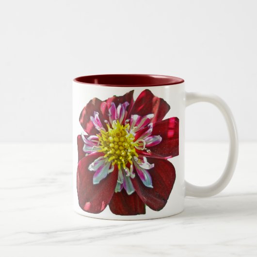 Red Dahlia Mok (Rechts)