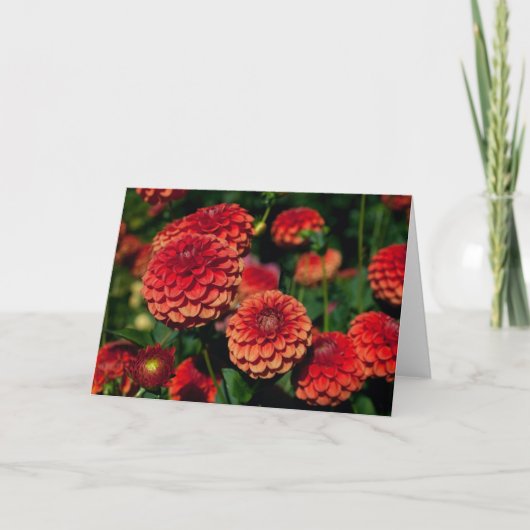 Red Dahlia Note Card Kaart (Voorkant)