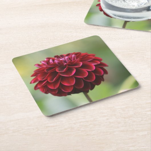 Red Dahlia Onderzetter (Schuin)