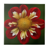 Red Dahlia over de Groene Floral Tegeltje (Voorkant)