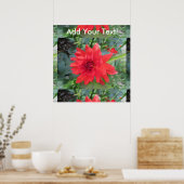 Red Dahlia Plant Poster (Keuken)
