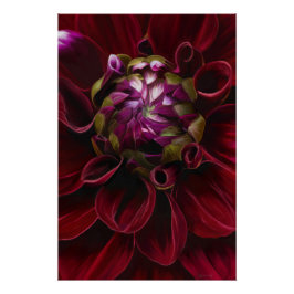 Red Dahlia-Poster Perfect Poster
