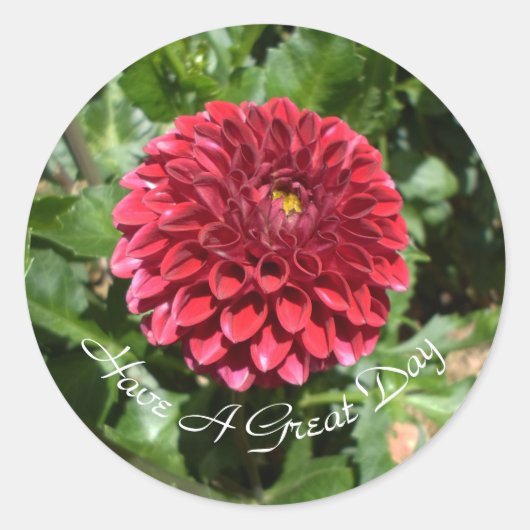 Red Dahlia Ronde Sticker (Voorkant)