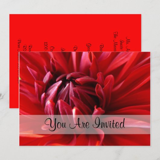 Red Dahlia u wordt uitgenodigd Kaart (Voorkant / Achterkant)