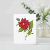 Red Dahlia van Pierre Joseph Redoute Briefkaart (Staand voorkant)