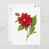Red Dahlia van Pierre Joseph Redoute Briefkaart (Voorkant / Achterkant)