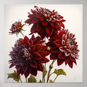 Red Dahlias Bloemenkunst Print Poster