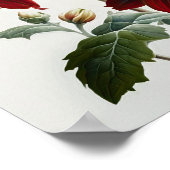 Red Dahlias Bloemenkunst Print Poster (Hoek)