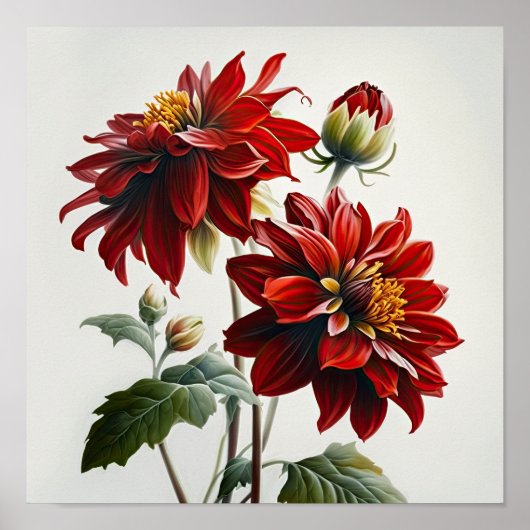 Red Dahlias Bloemenkunst Print Poster (Voorkant)