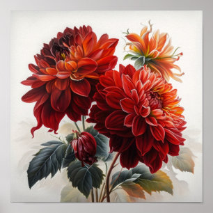 Red Dahlias Bloemenkunst Print Poster