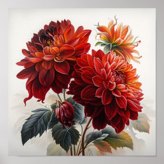 Red Dahlias Bloemenkunst Print Poster (Voorkant)
