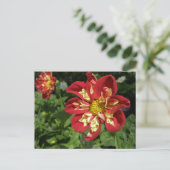 Red Dahlias Briefkaart (Staand voorkant)