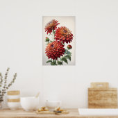 Red Dahlias Flowers Art Print Poster (Keuken)