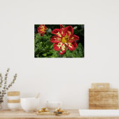Red Dahlias Poster (Keuken)