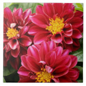 Red Dahlias Tegeltje (Voorkant)
